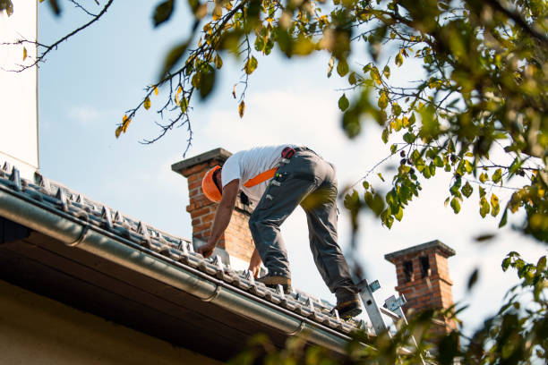 Best New Roof Installation  in Lanse, MI