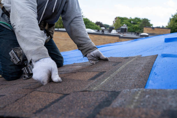 Best Roof Gutter Cleaning  in Lanse, MI