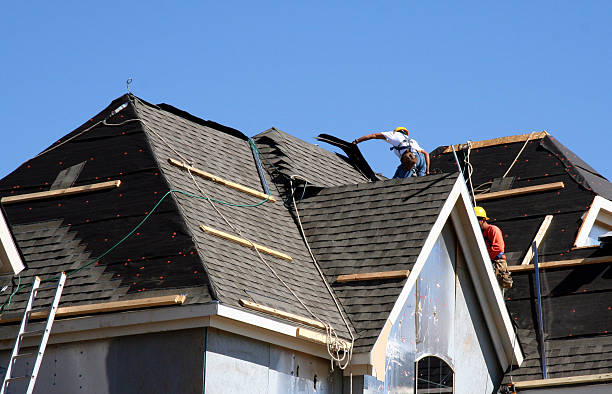 Best Roof Leak Repair  in Lanse, MI