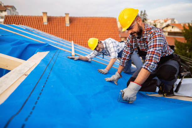 Best Roof Gutter Cleaning  in Lanse, MI