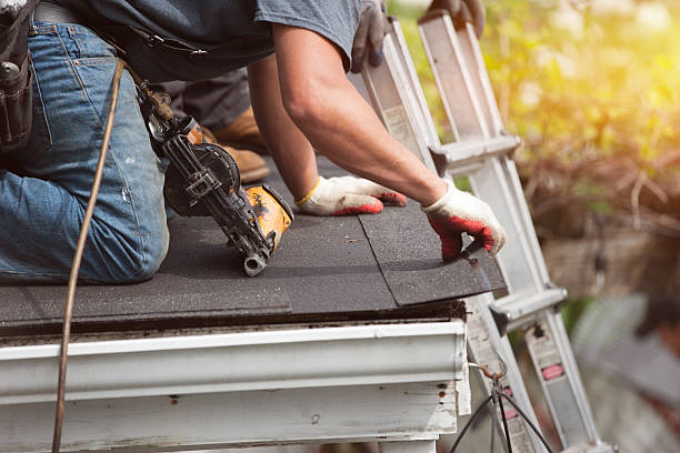 Best Emergency Roof Repair  in Lanse, MI